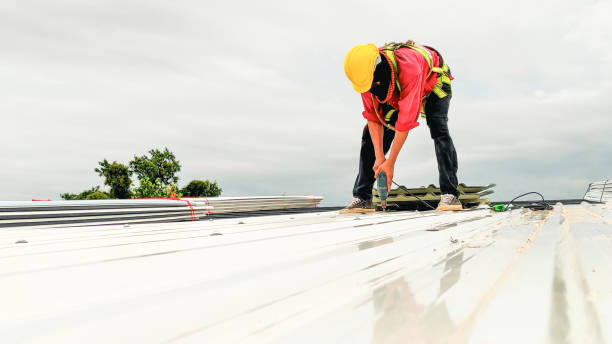 Best Roof Ventilation Installation  in Palos Park, IL